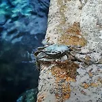 Kuca Za Odmor Marina Semesterbostad