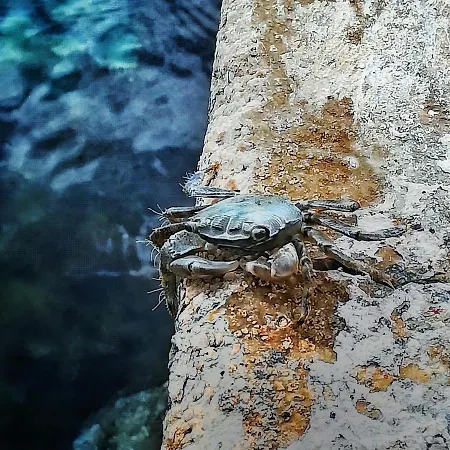 Kuca Za Odmor Marina Дом отдыха