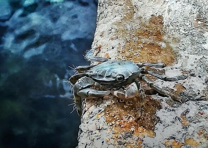 Kuca Za Odmor Marina بيت للعطل